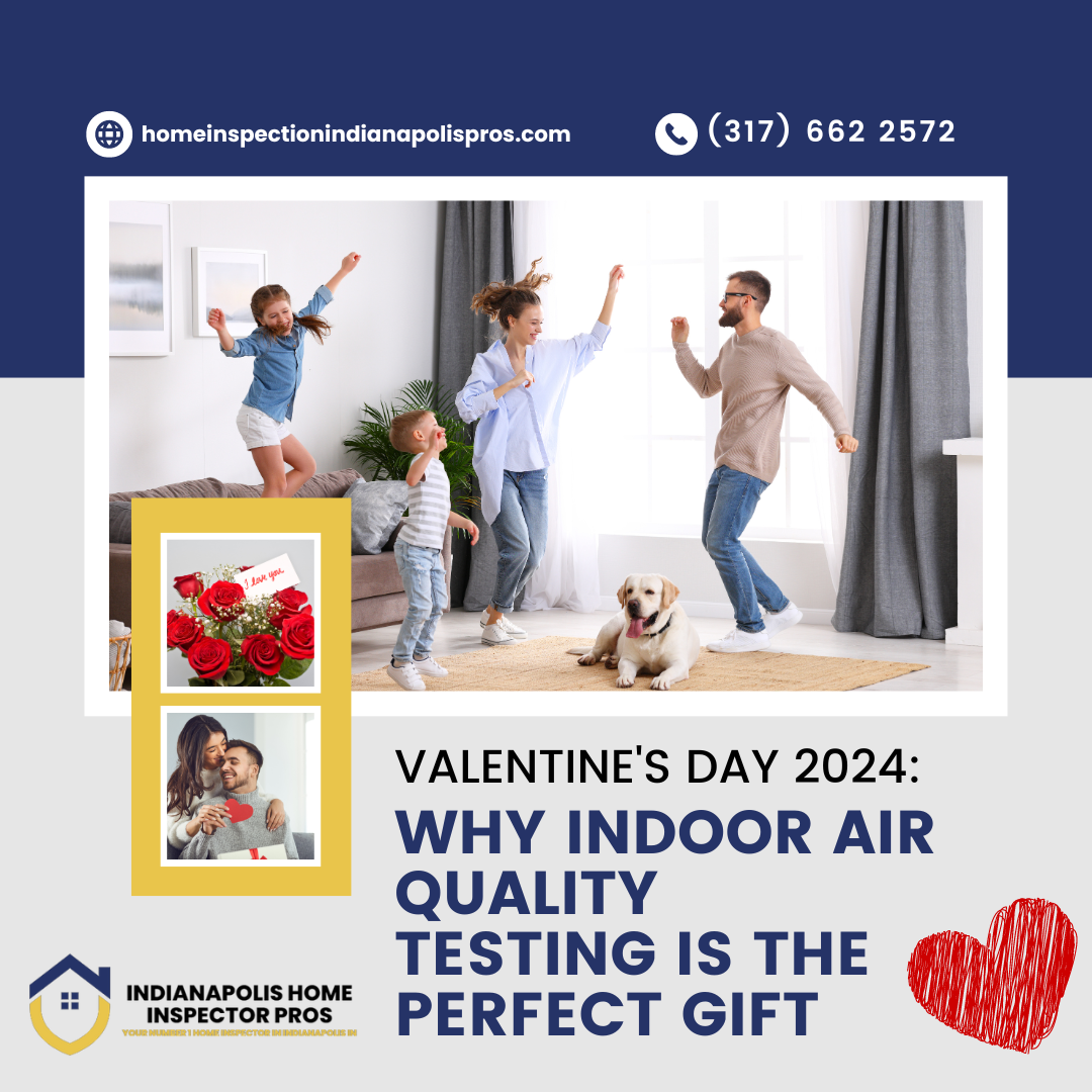 Home Inspection Indianapolis Pros Valentine's Day 2024_ Why Indoor Air Quality Testing is the Perfect Gift